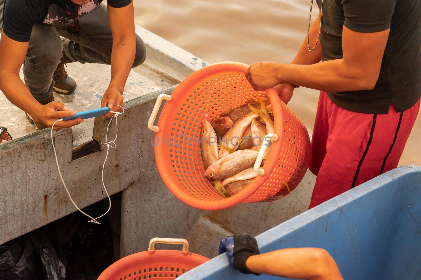 Latino fisherman depositing fish in a plastic bowl on a boat by cfalvarez