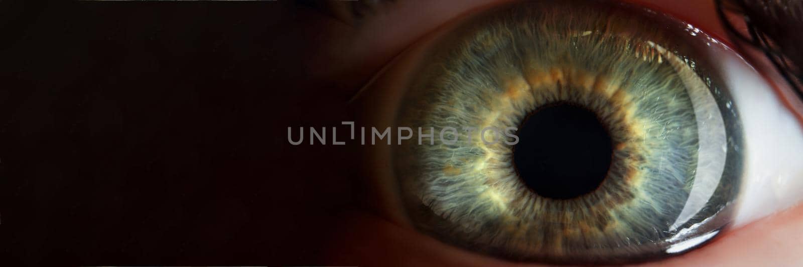 Close-up of persons eye, extreme macro shot of female or male sight organ, shadows of green eye colour. Ophthalmology, checkup, medicine, human concept