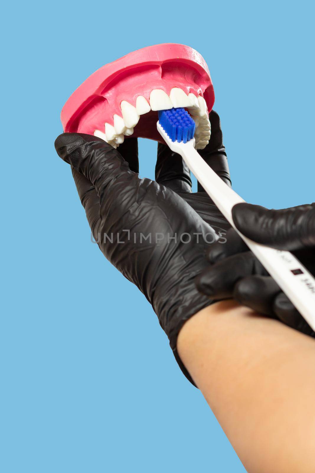 Close-up view of the hand with a human jaw layout and a toothbrush.