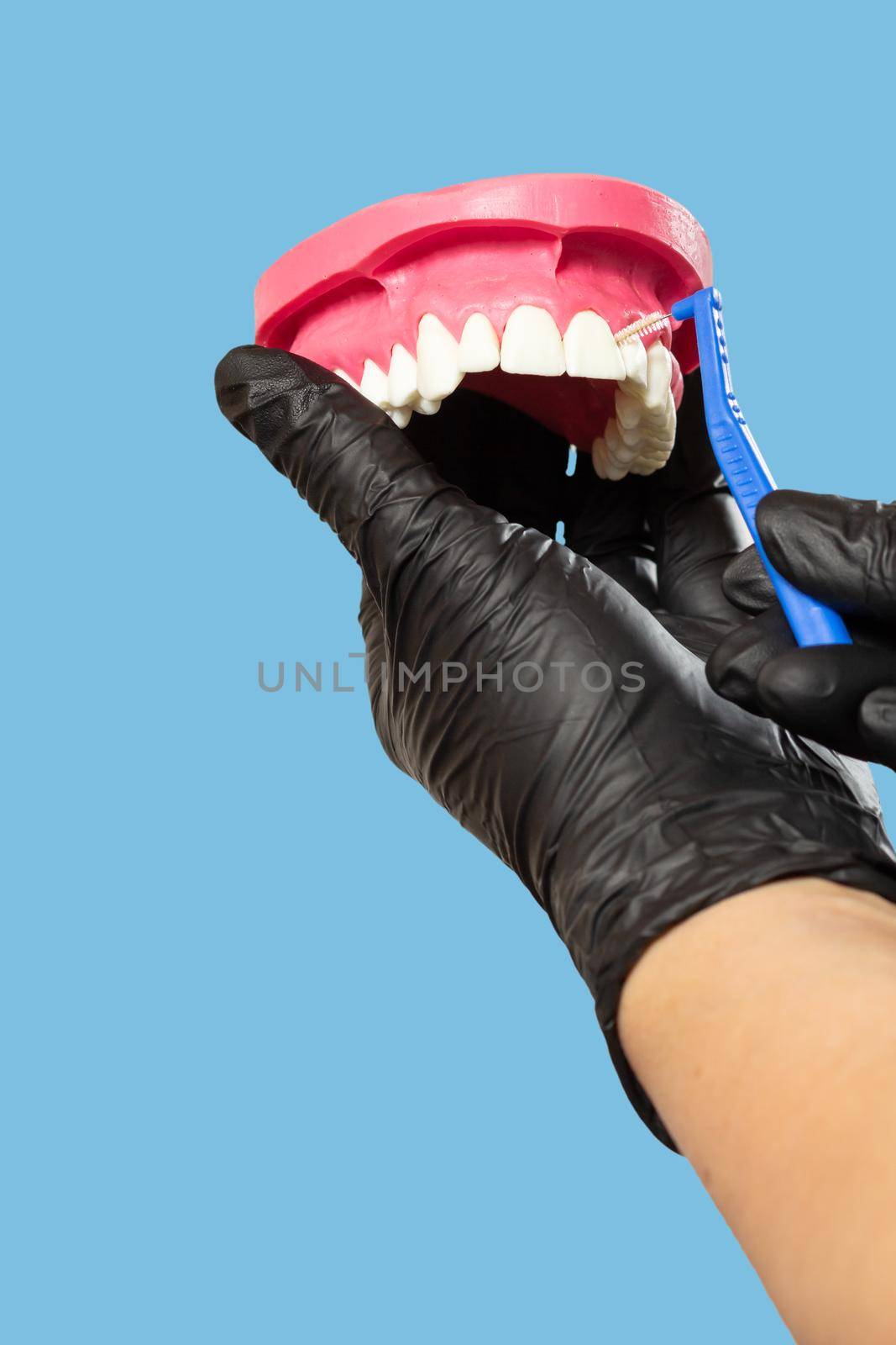 Close-up view of the hand with a human jaw layout and a interdental toothpick brush.
