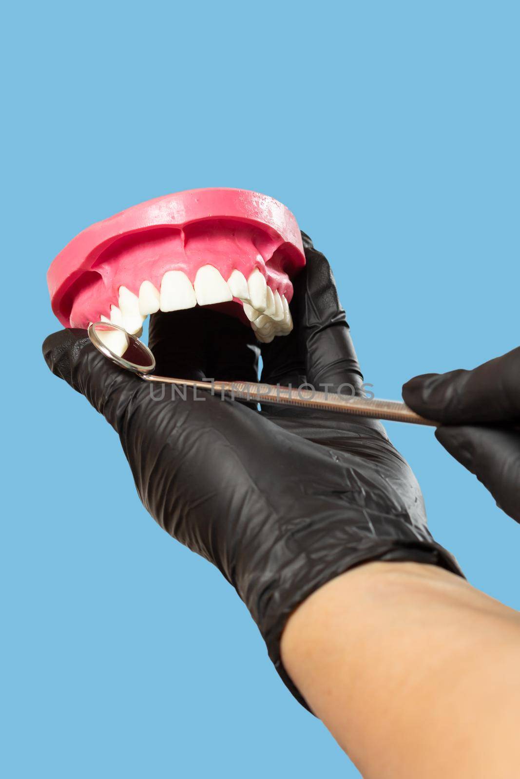 Dentist with a layout of the human jaw is examining teeth with mirror. Focus on stainless steel dental mirror.