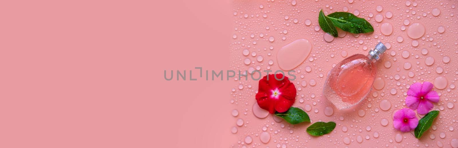 Background with perfume water drops and flowers. Selective focus. by yanadjana