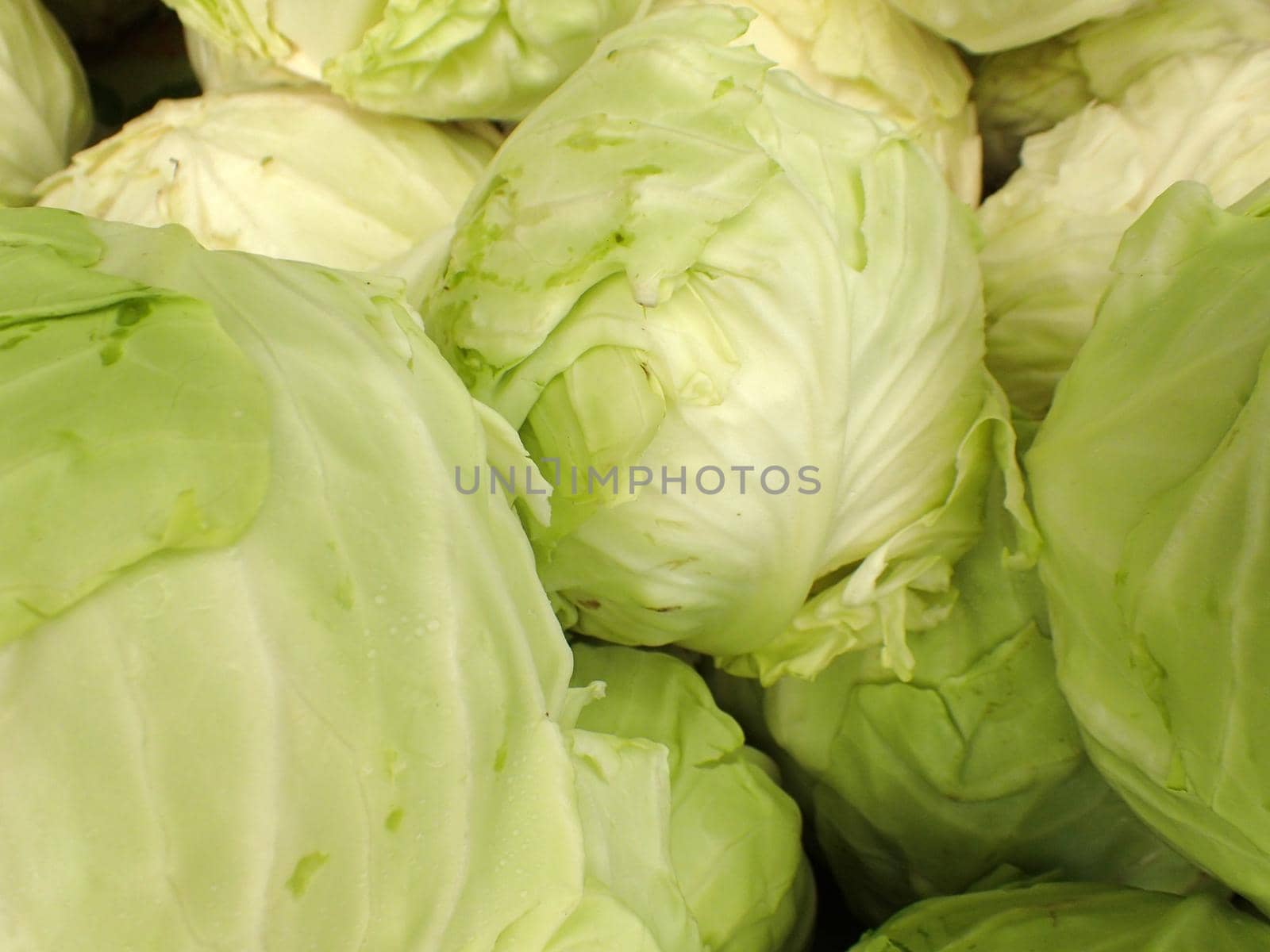 Heads of lettuce at the farmers market on Maui, Hawaii.