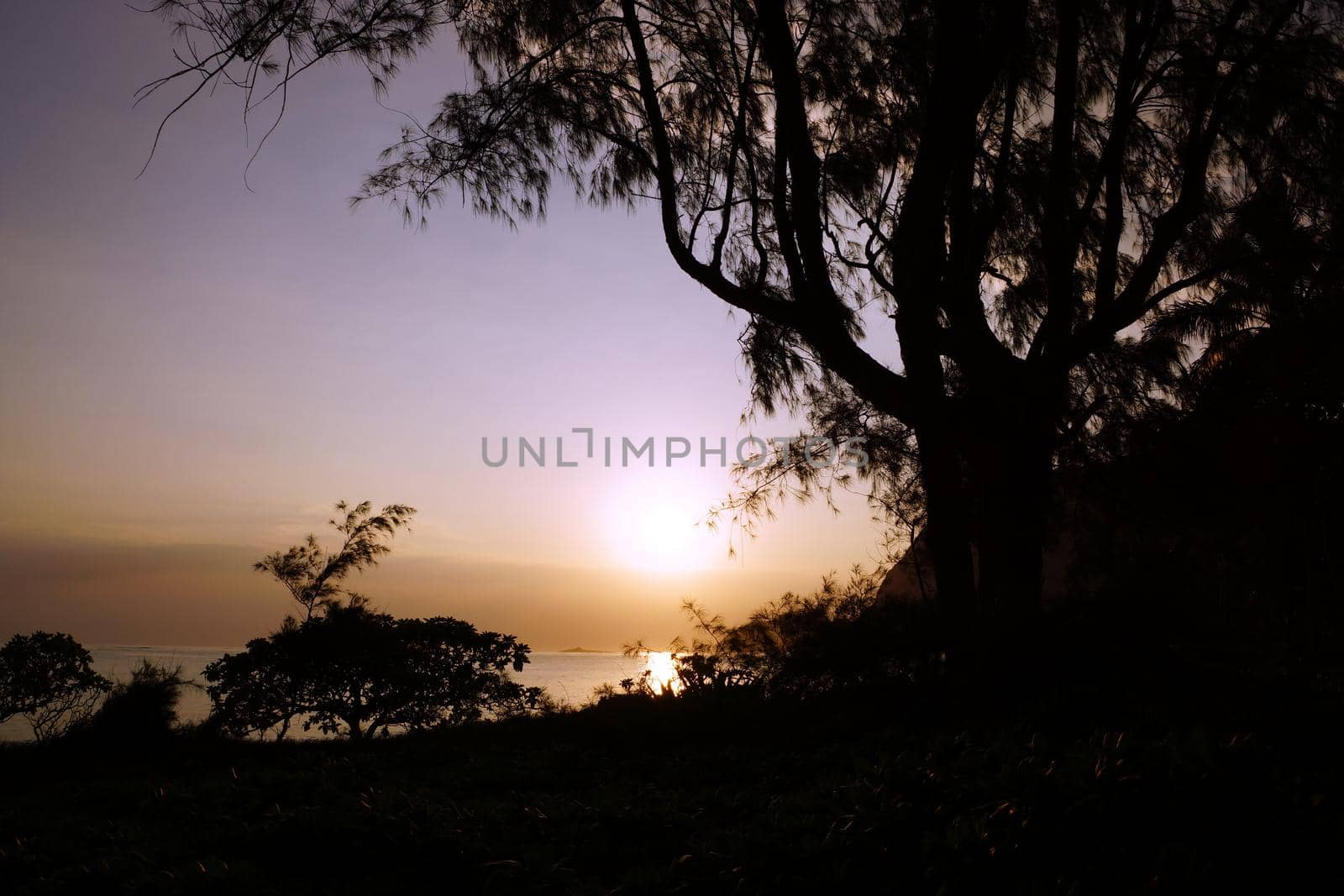 Early Morning Sunrise through the trees over an island and ocean by EricGBVD