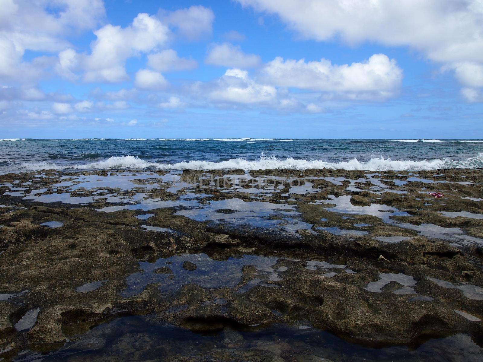 Coral Rock along shore of Kaihalulu Beach by EricGBVD