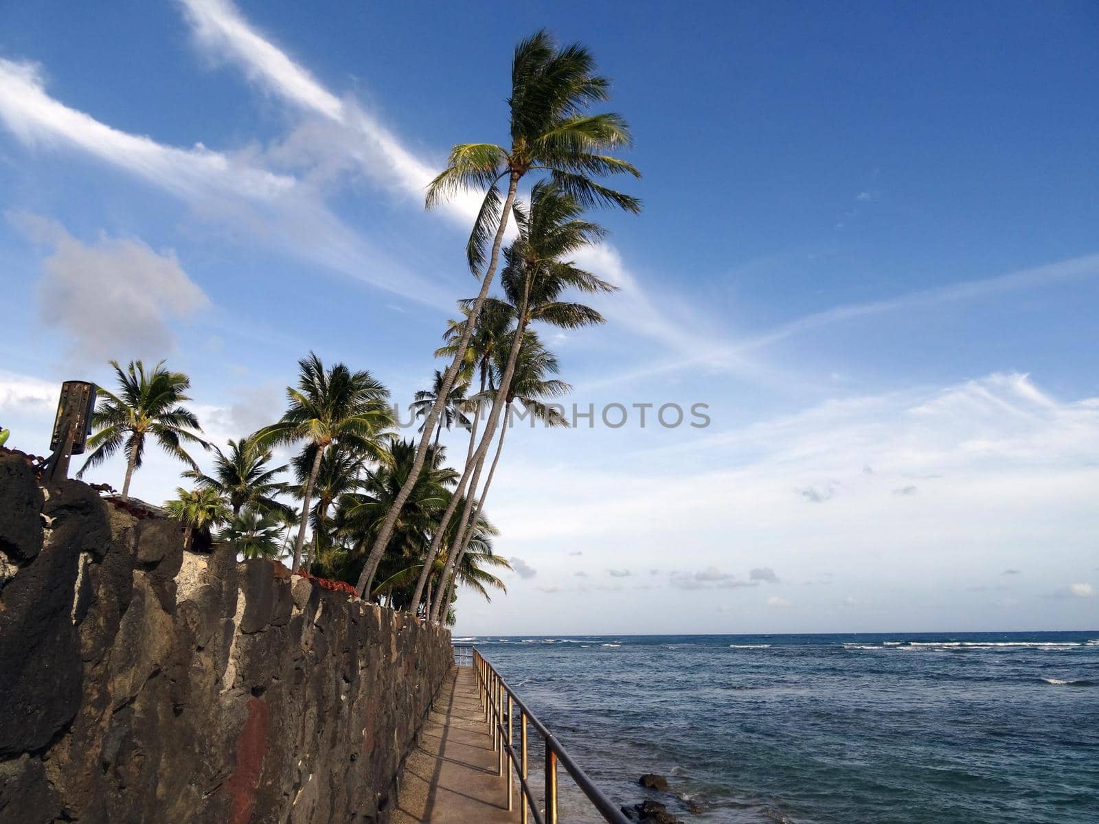 Concrete path with metal railing along cliff shore with coconut trees overhead by EricGBVD