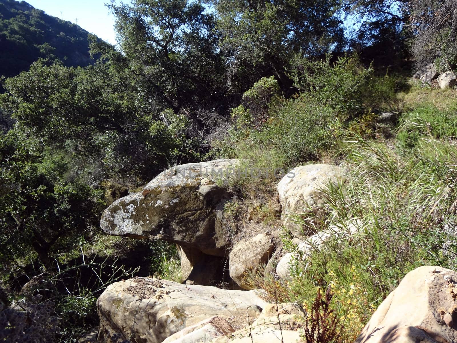 Eagle shapes rock face in the Hills of Santa Barbara, California among bushes and trees.                               