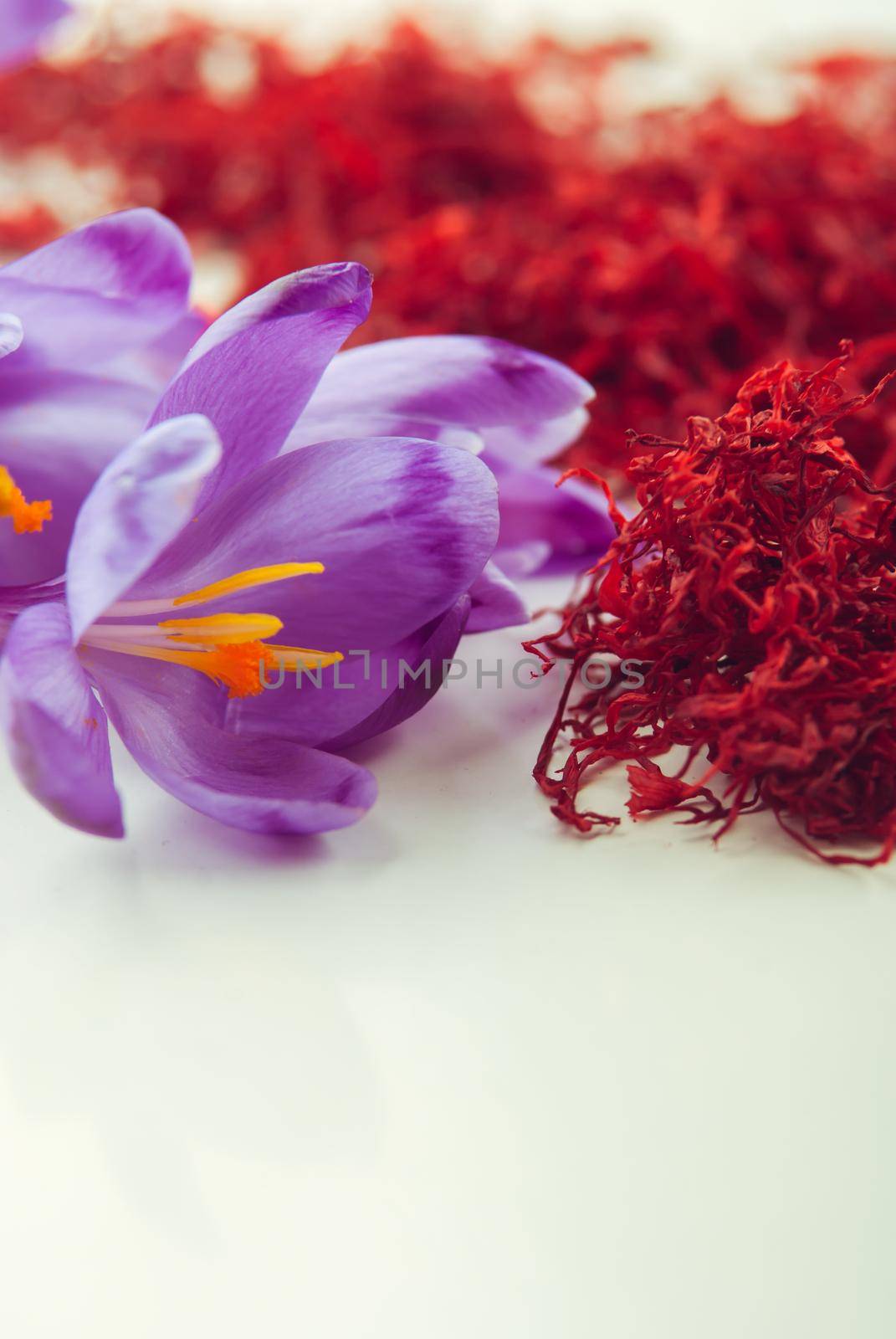 heap of dryed saffron spice. High quality photo