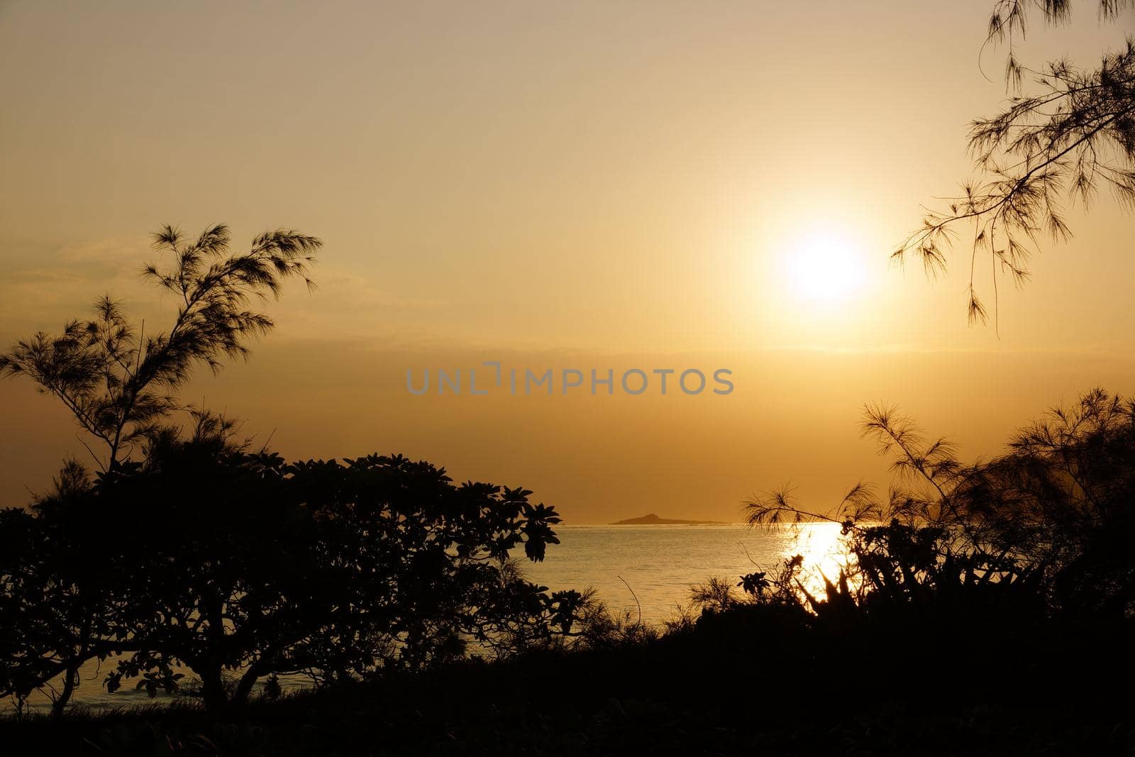 Early Morning Sunrise on Waimanalo Beach on Oahu, Hawaii over Rock Island through the trees and over the clouds.