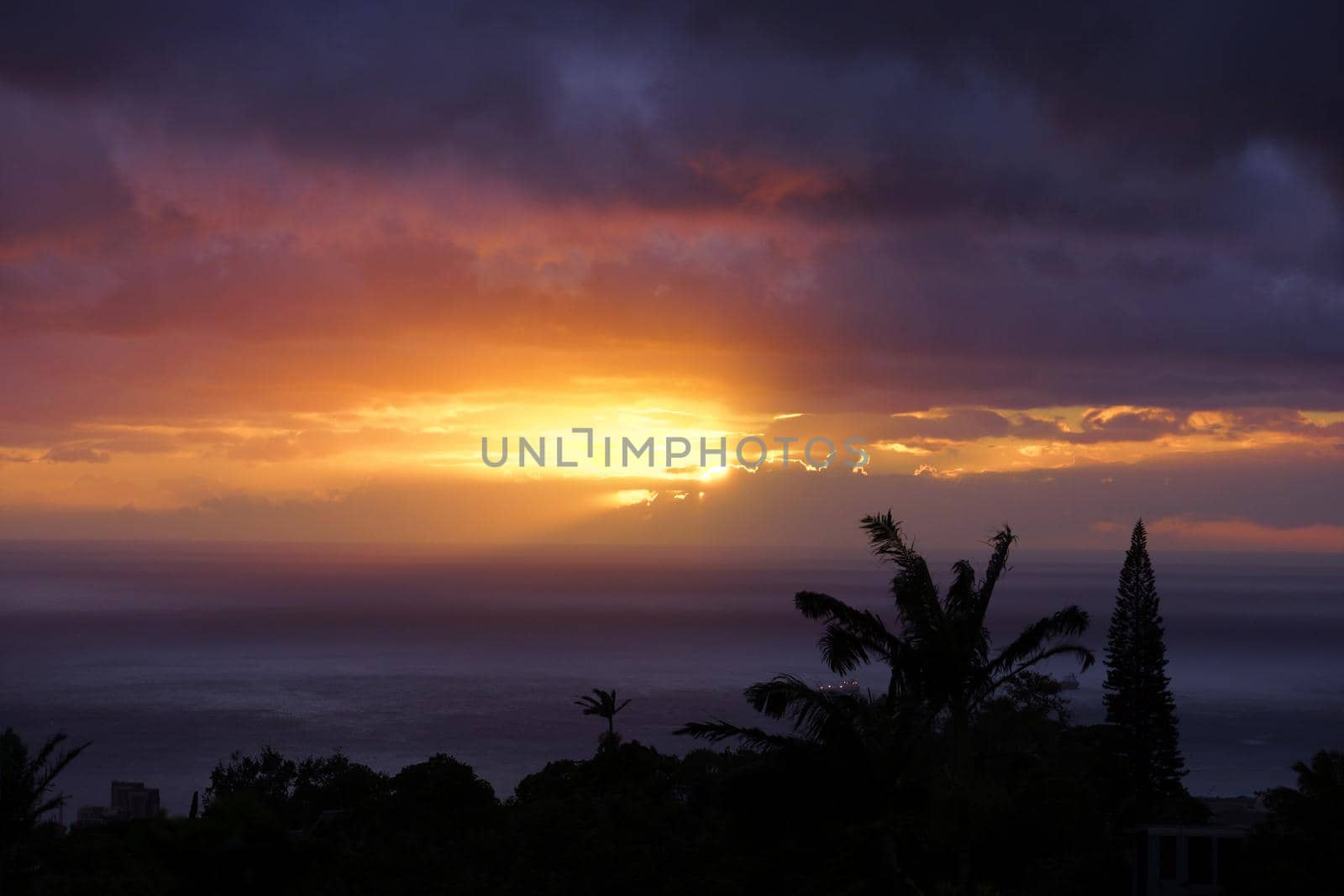 Sunset through the clouds over the pacific ocean past tropical silhouette of trees on Oahu, Hawaii.