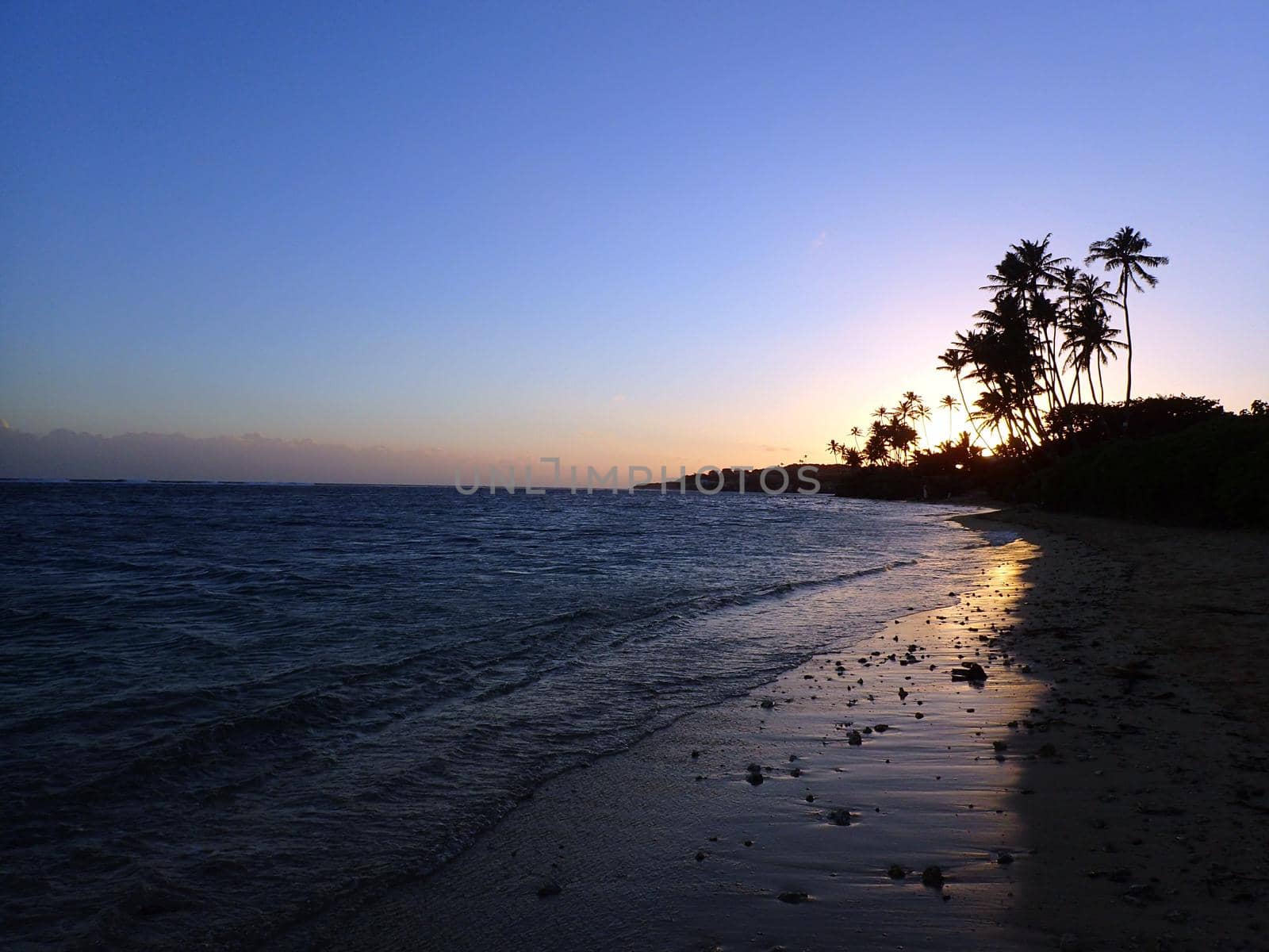 Sunset through Coconut Trees line Kahala Beach by EricGBVD