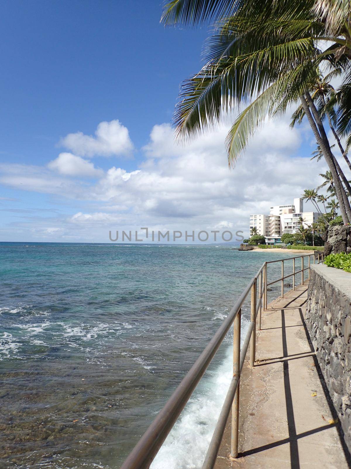 Seaside Path to Makalei Beach Park with Coconut trees hanging over the ocean and beach in distance on Oahu, Hawaii.