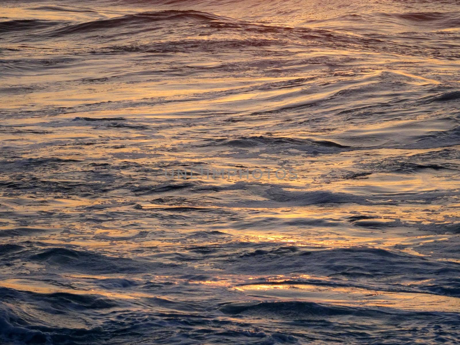 Sunset light reflects on Ocean Water with rolling waves.