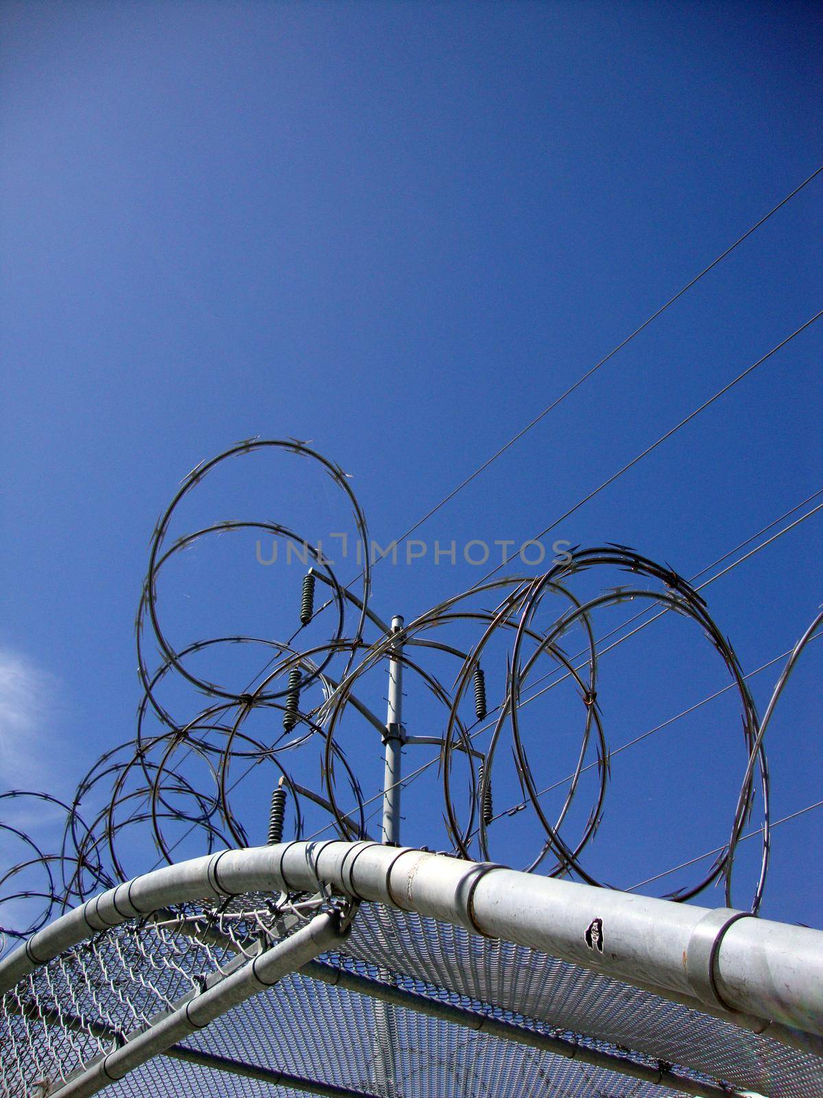 Barb Wire Covers top of Fence covering with Power lines above and blue sky.