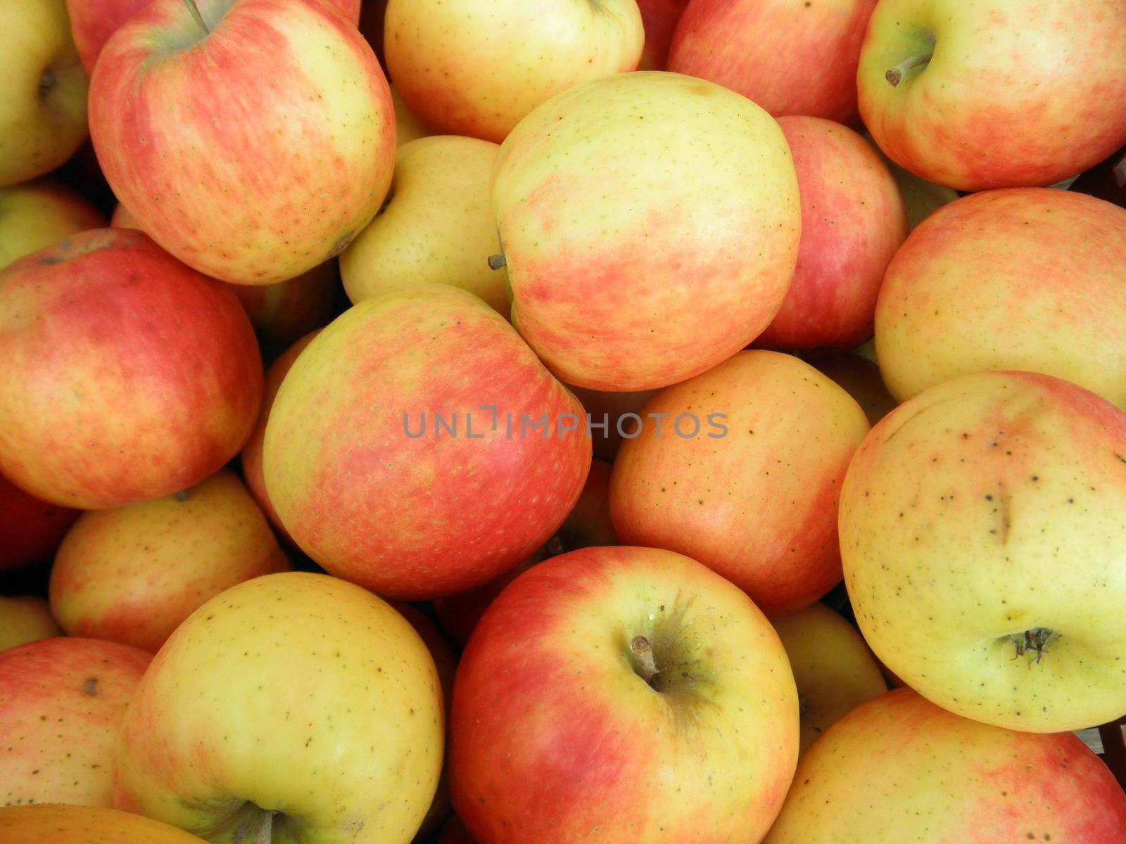 Pile of red apple at the farmers market.