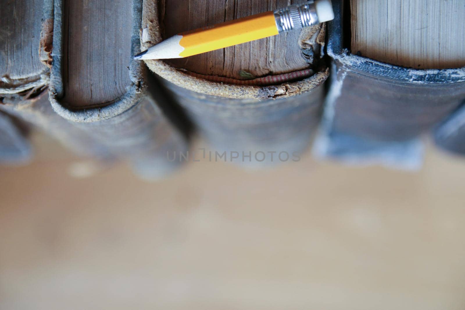 School background. Antique books on the shelf in the library by Markgraf