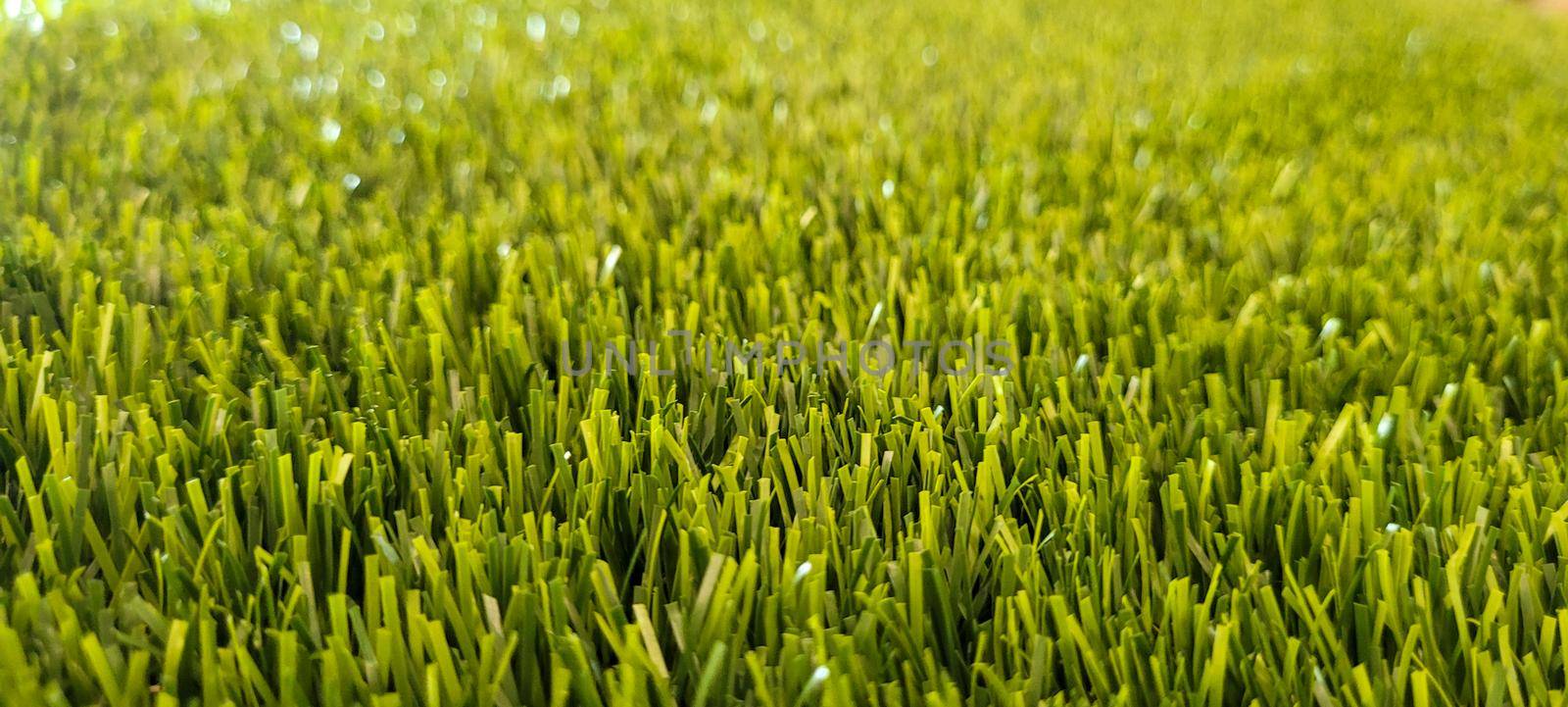 green lawn image that can be used as a natural background with cobblestones