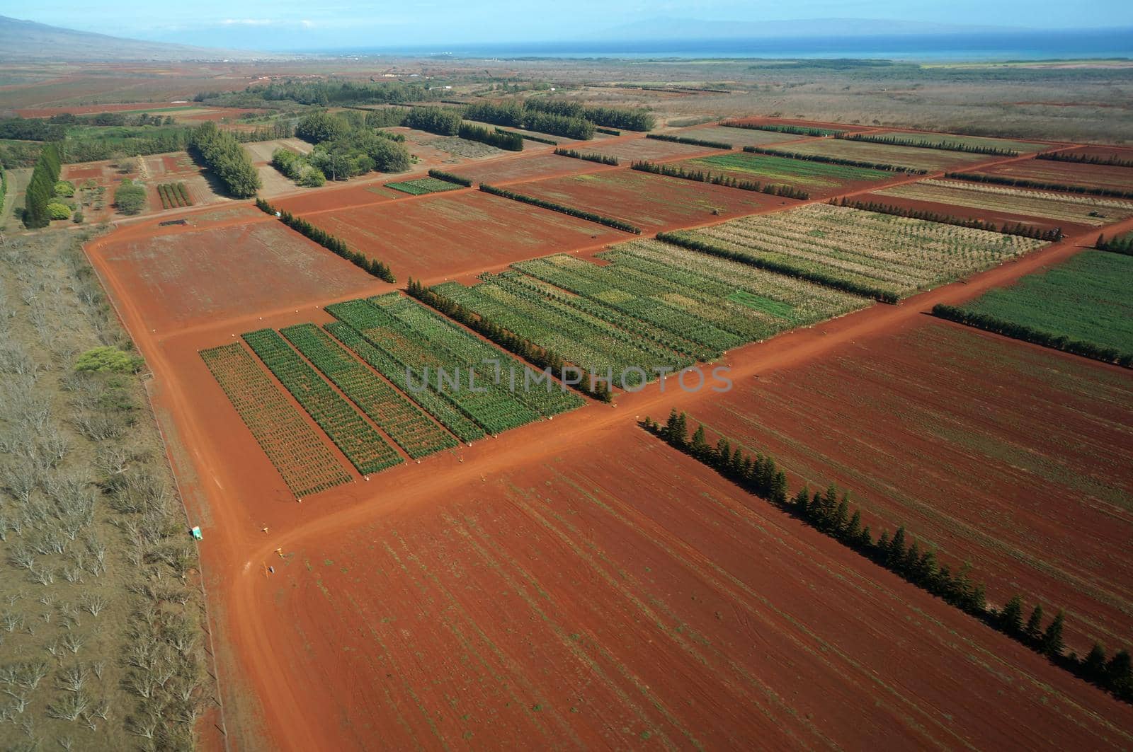 Aerial of Farm fields of different stages of age running to the ocean by EricGBVD