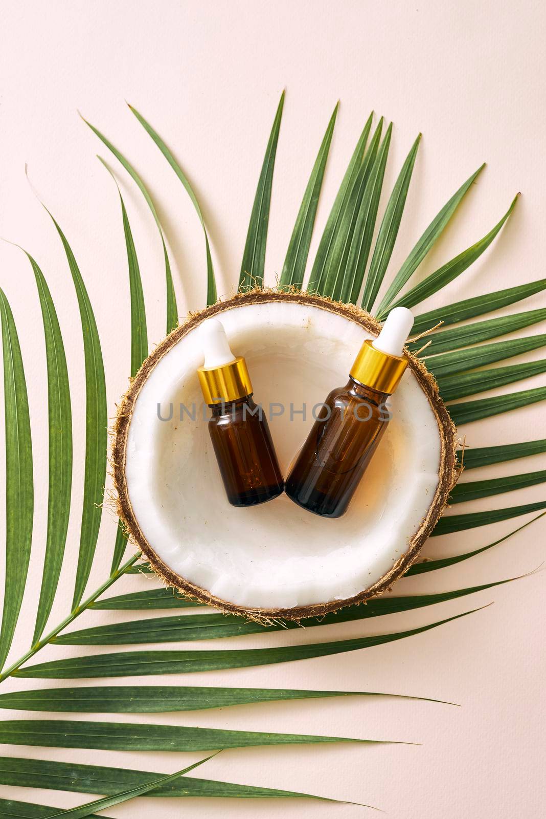 Coconut oil in bottle with open nuts and pulp in jar, green palm leaf background. Natural cosmetic products. by makidotvn
