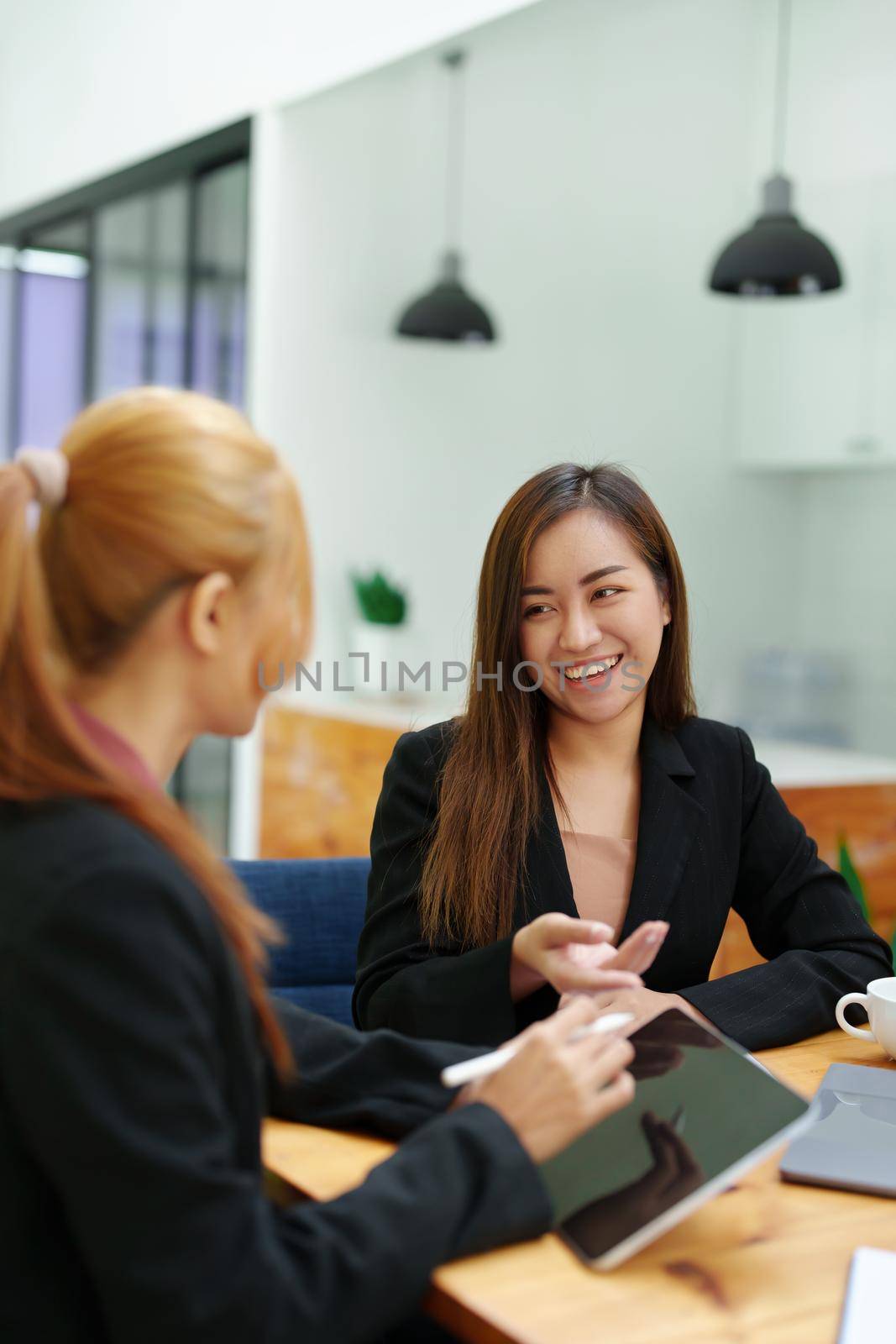 Portrait of an Asian businesswoman consulting, start up a marketing plan to meet the needs of customers in office room