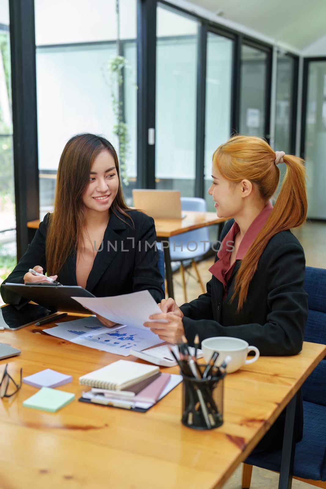 Portrait of an Asian businesswoman consulting, start up a marketing plan to meet the needs of customers in office room