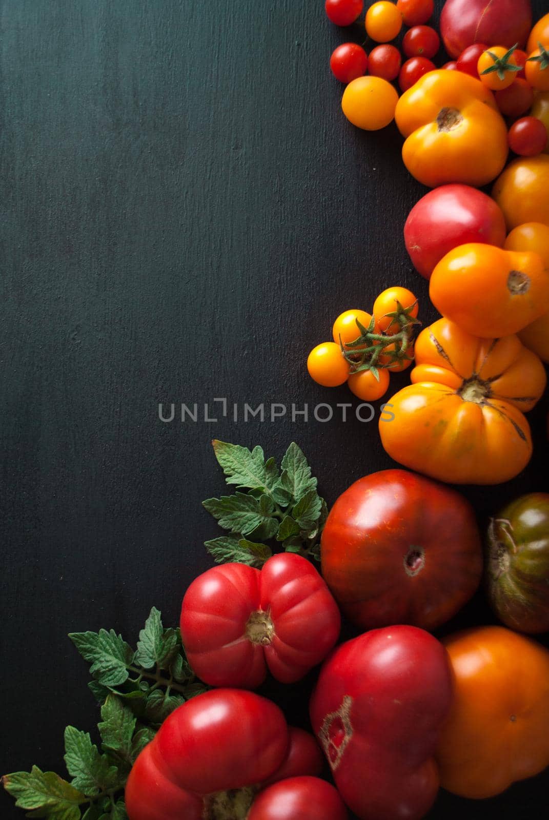 variety of ripe colourful organic tomatoes. High quality photo