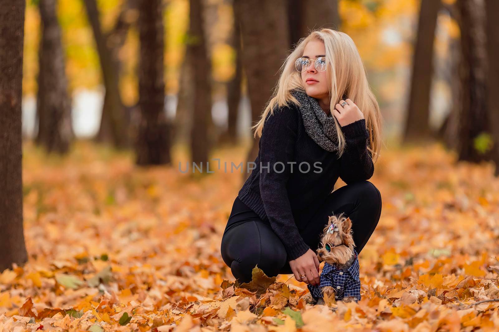 Yorkshire terrier with his owner by zokov