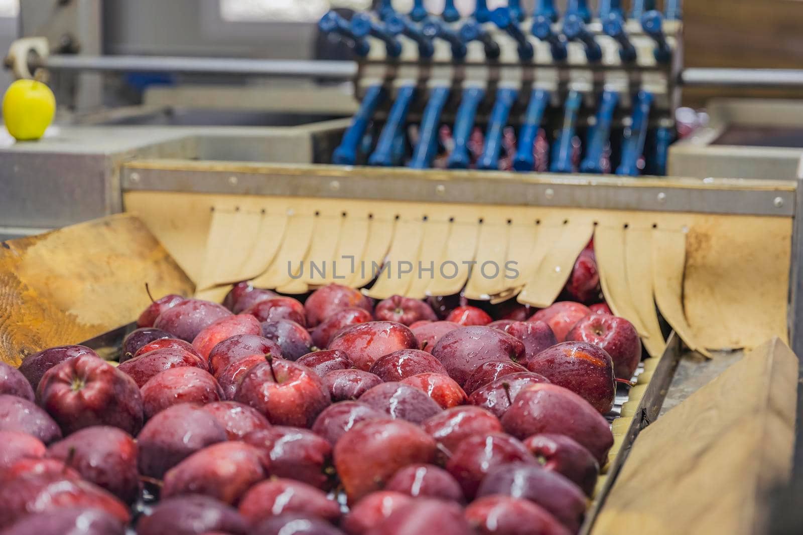 automatic movement of apples in the factory