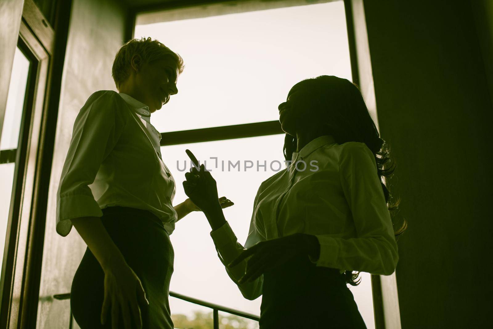 Two Business Women Communicate Near Window, Pretty African Woman Pointing Finger At Her Caucasian Colleague, Silhouettes Of Women Talking In Back Lit Near Window, Female Business Concept, Toned Image