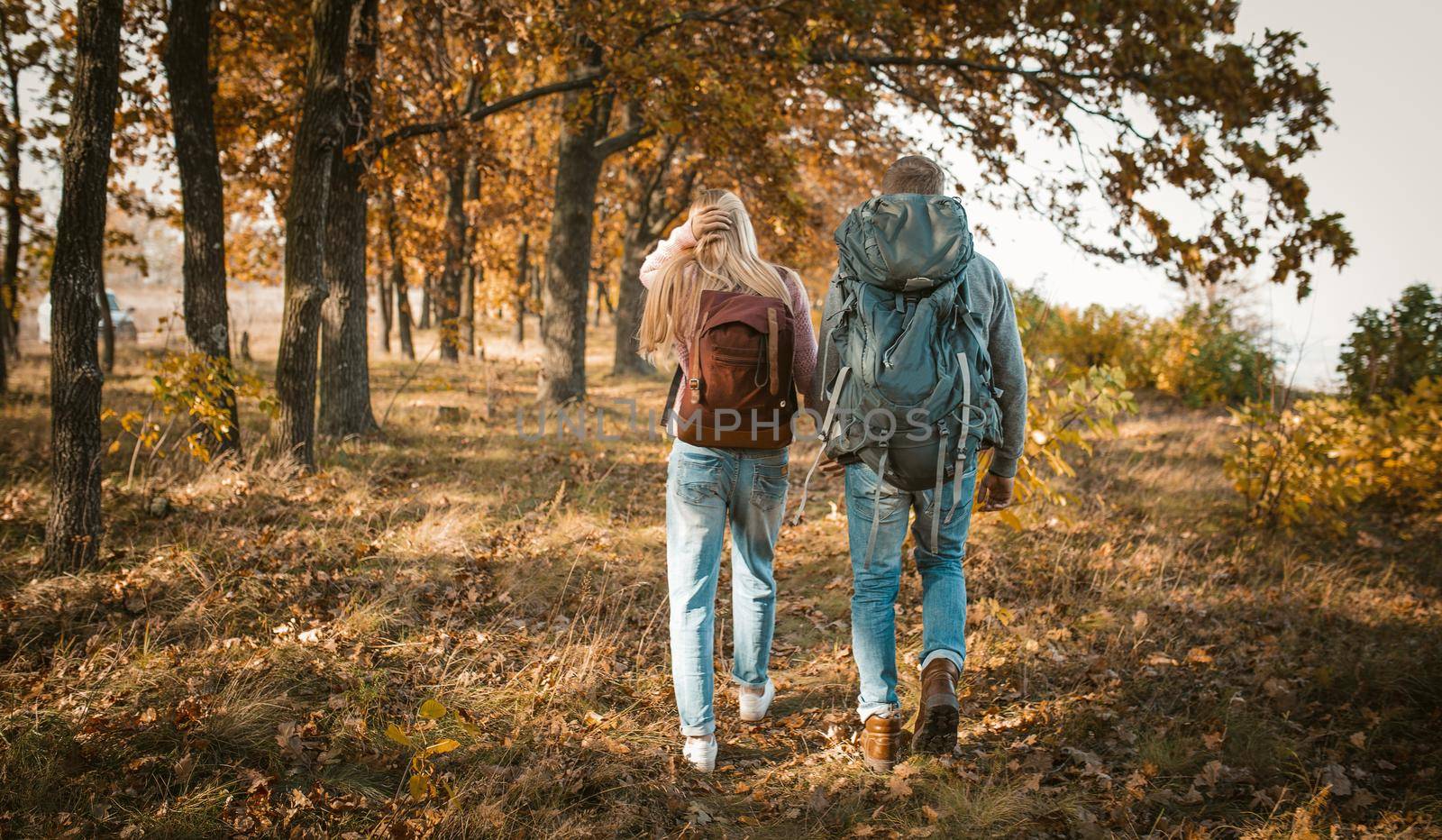 Rear ViewCouple Travels With Backpacks Holding Hands, Young Caucasian Man And Woman Walk Through Sunny Forest Among The Trees, Hiking Concept, Rear View