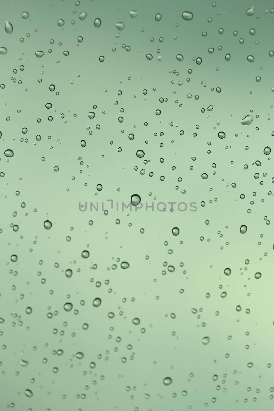 fressh background of water drops  by geargodz