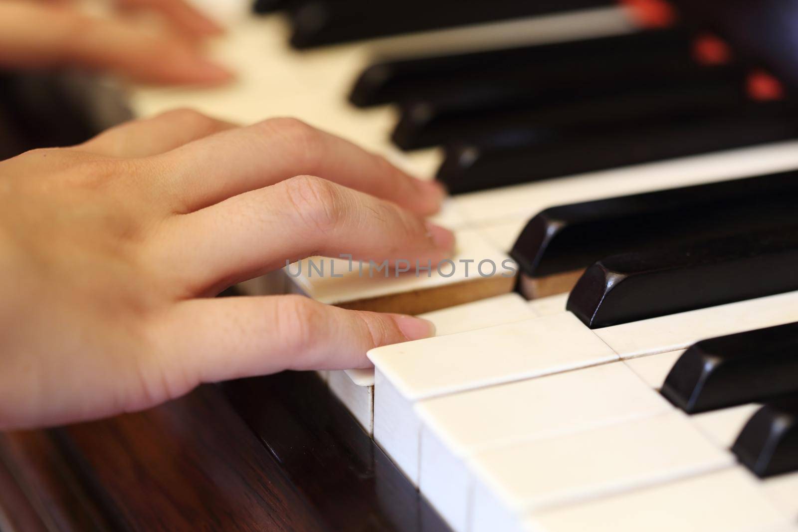 Close up of hands playing the classic wood  piano