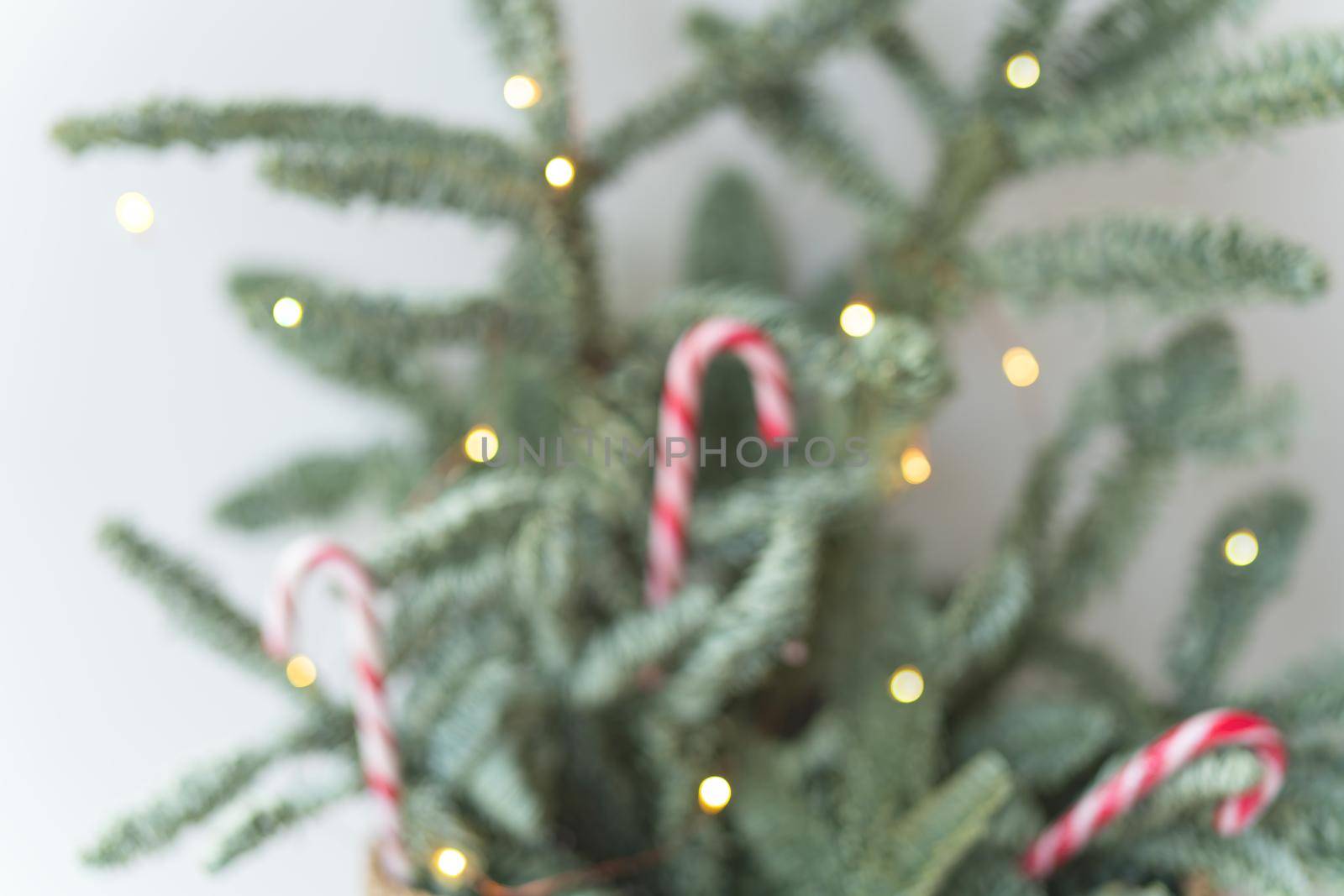 Decorated Christmas tree with candy canes and lights on a blurred background. Preparation for Christmas and New Year 2023. Place for an inscription
