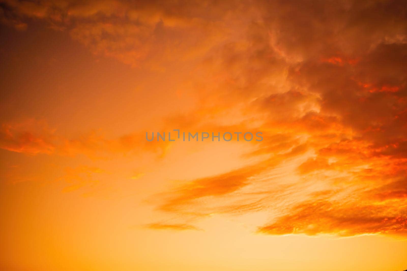 A red burning sunset sky. Abstract nature summer or spring ocean sea background. by panophotograph