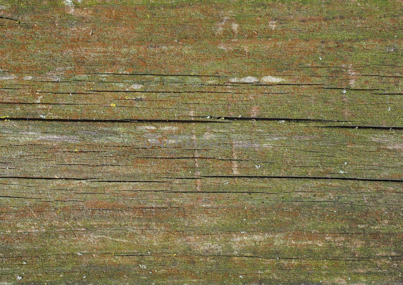 green weathered wood texture with moss useful as a background