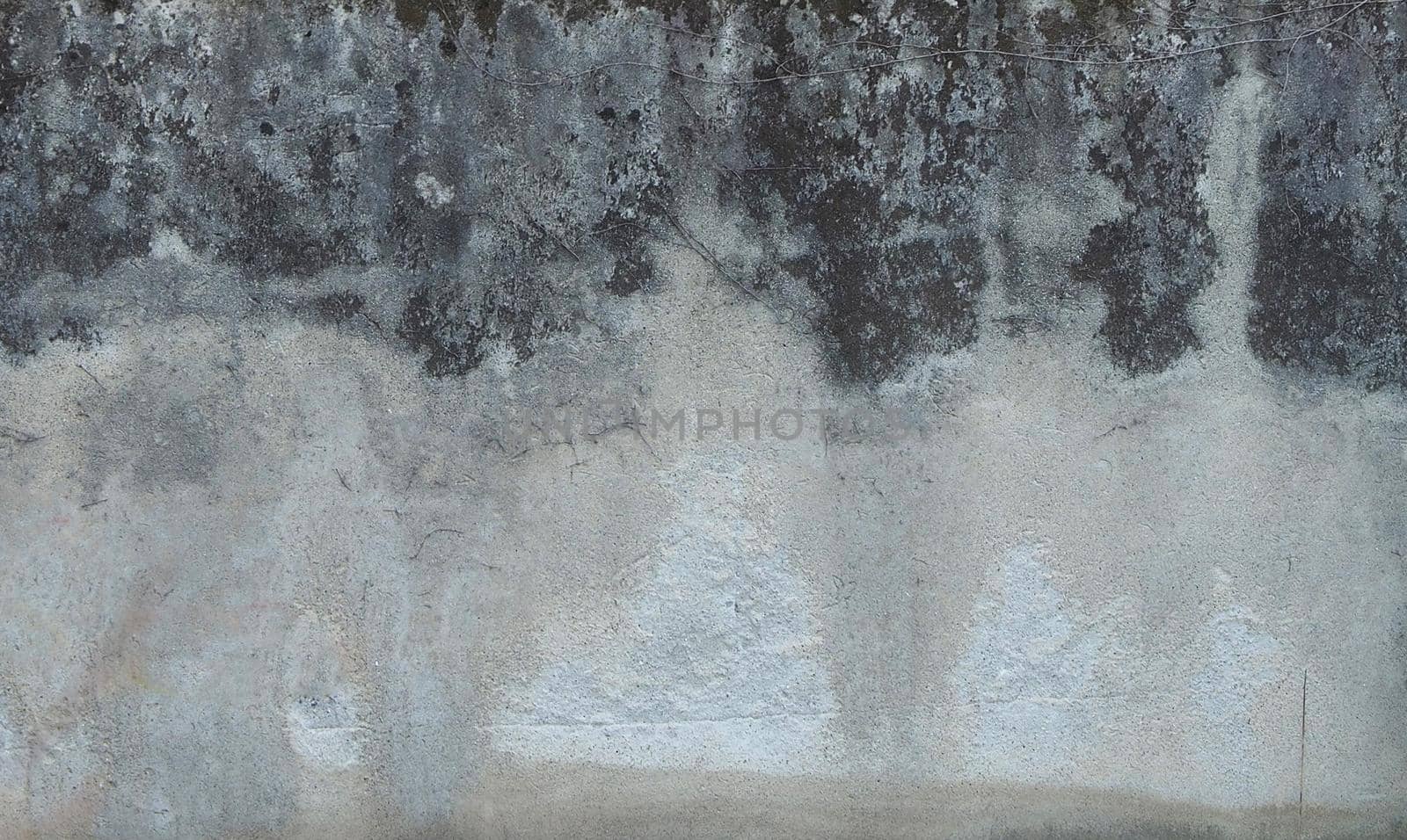 grey concrete texture background by claudiodivizia