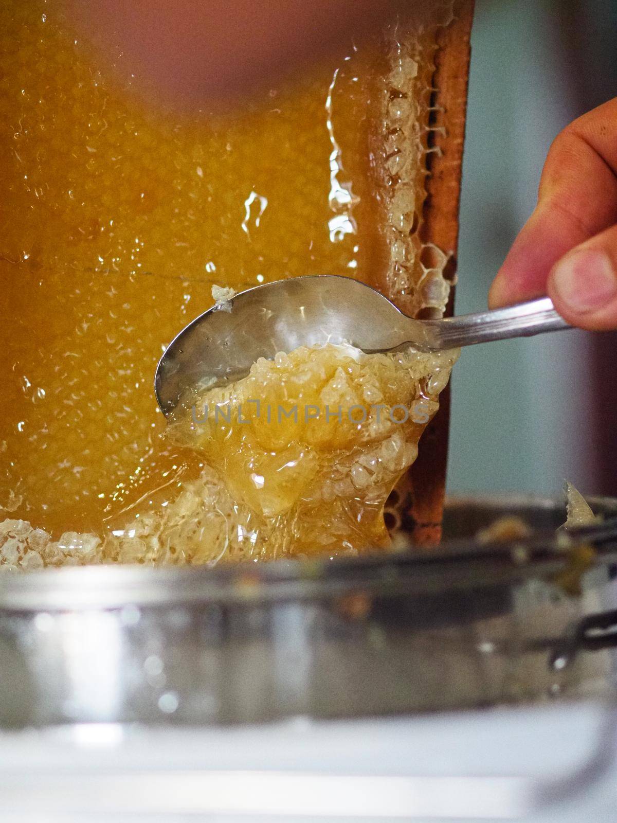 Natural raw honey being filtered ad dripped through a strainer to filter our bees wax.