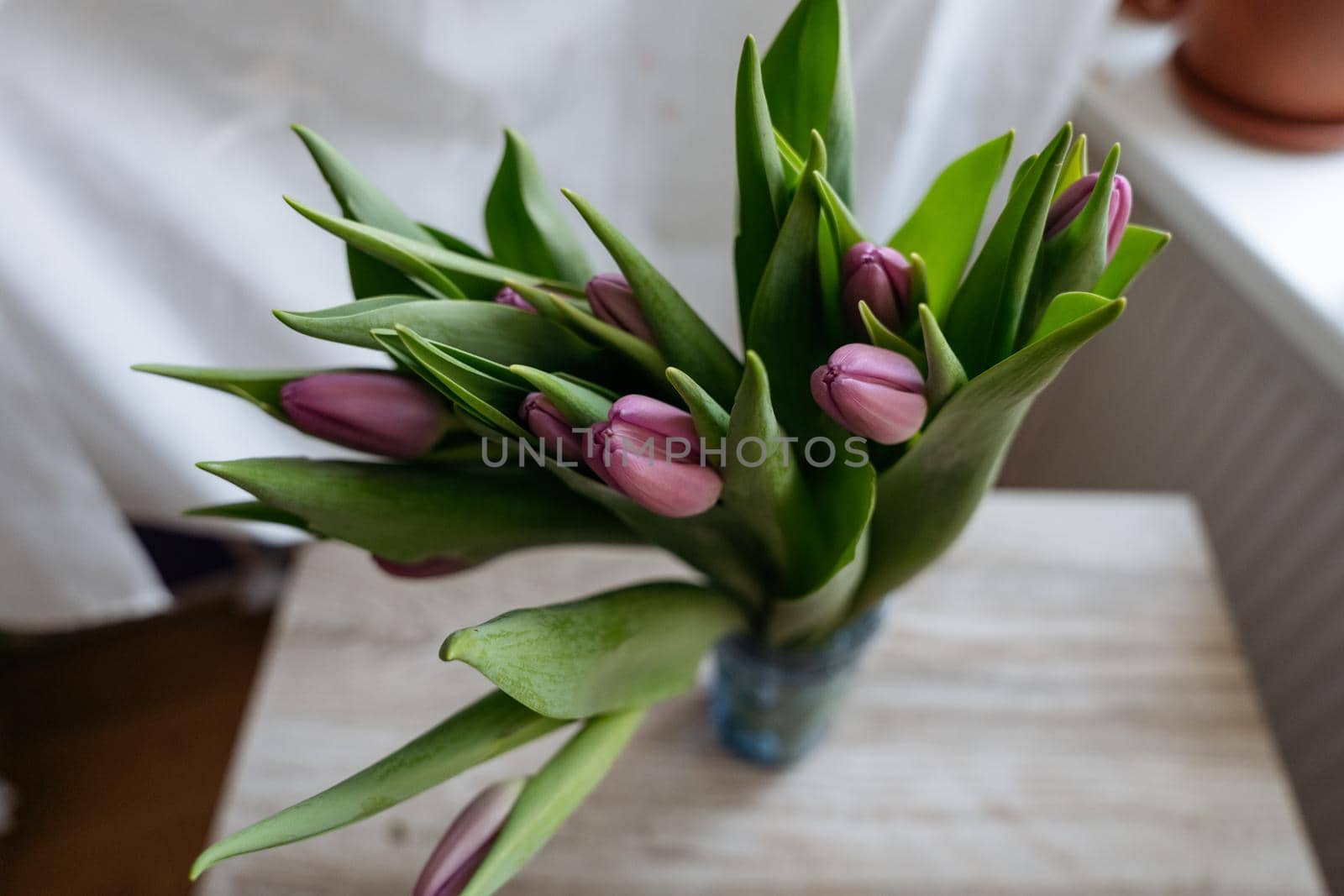 bunch of tulips laying on a wooden board by Varaksina