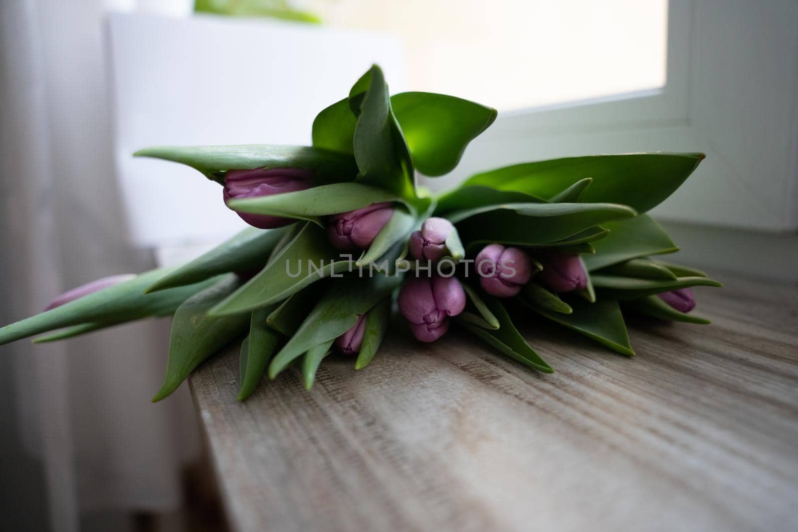 bunch of tulips laying on a wooden board by Varaksina