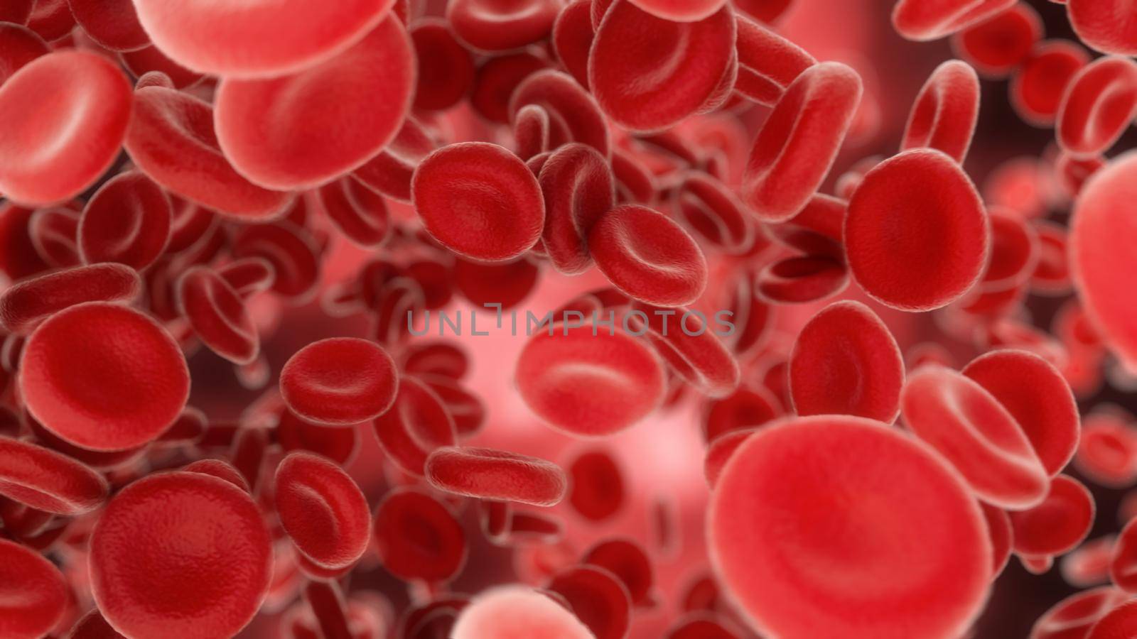 3d rendering Blood cells flowing through arteries or veins by studiodav