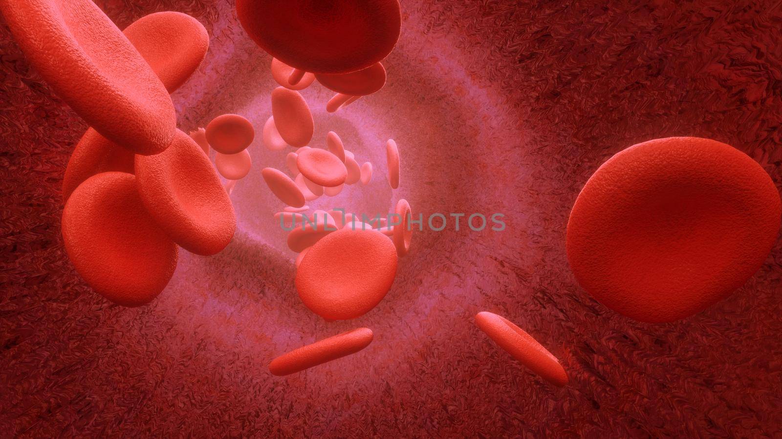 3d rendering Blood cells flowing through arteries or veins 4k