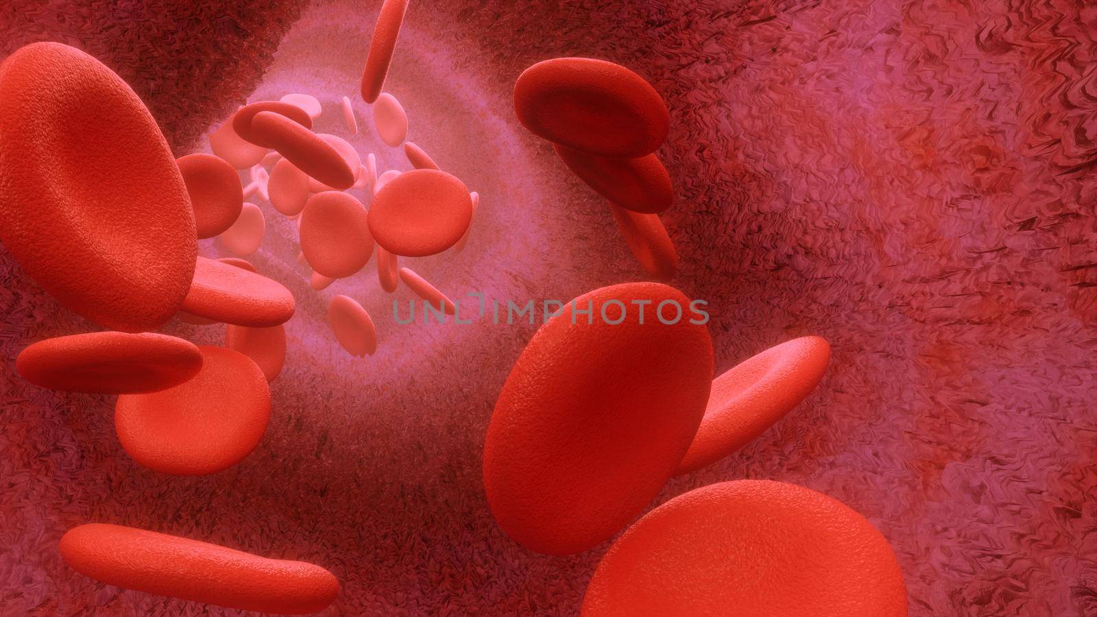 3d rendering Blood cells flowing through arteries or veins by studiodav