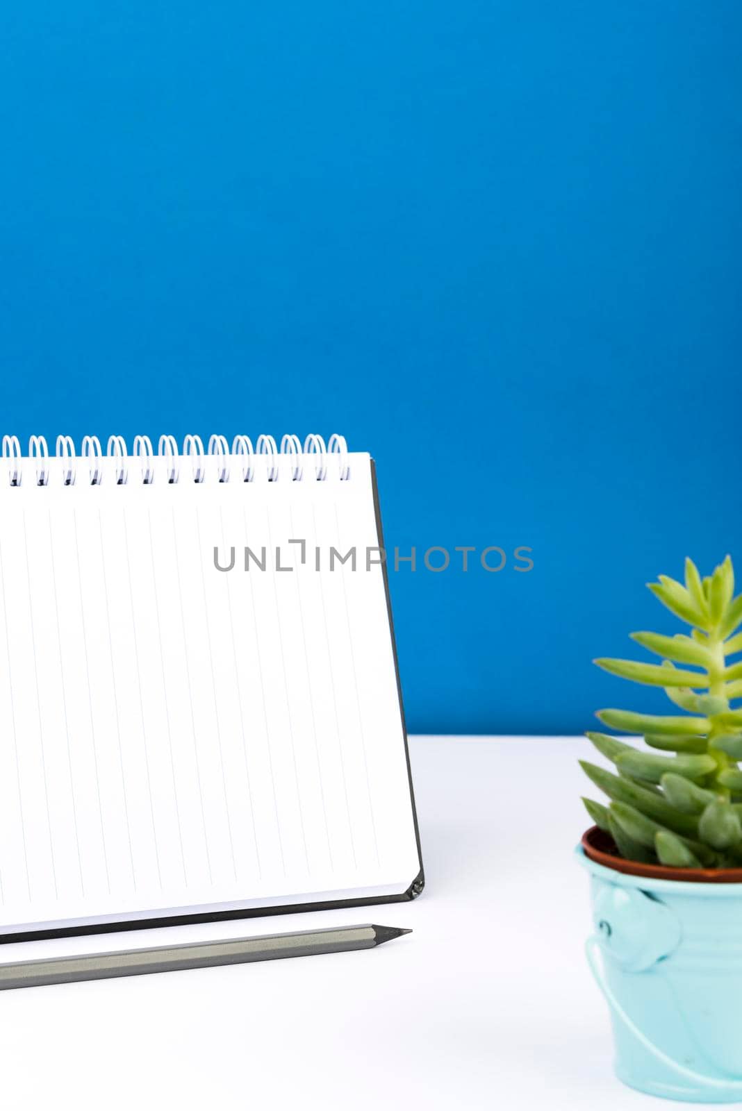 Important Message Written On Notebook On Desk With Pencil And Flower.