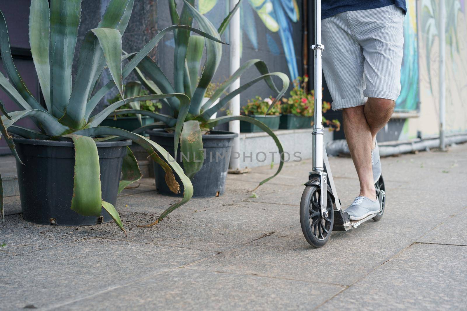 Close up man ride scooter with big wheels having a ride on the streets or park after work outdoors with agave plants on background. No face visible. Focus on front wheel with handle.