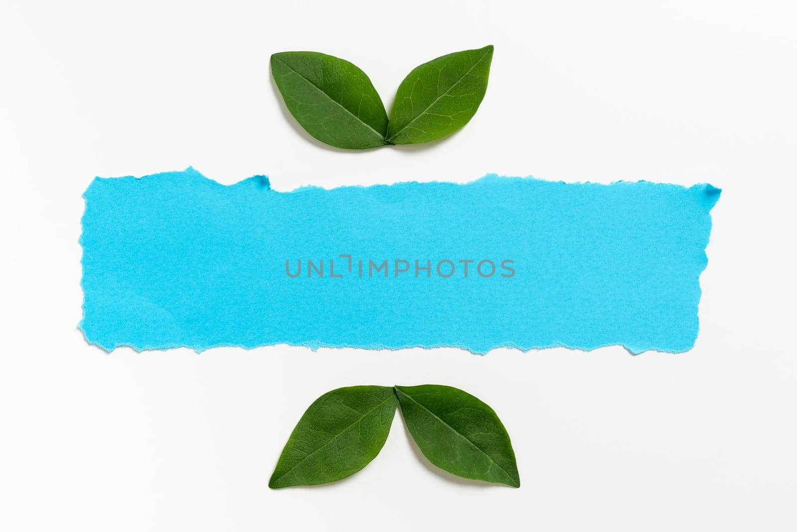 Empty Paper With Leaves Decorated For Business Advertisement.