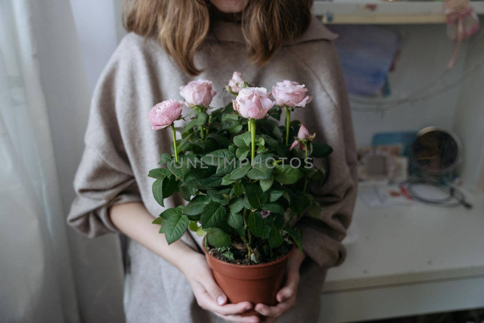 Medium plan of a young woman holding a flower pot with pink rose bush by Varaksina