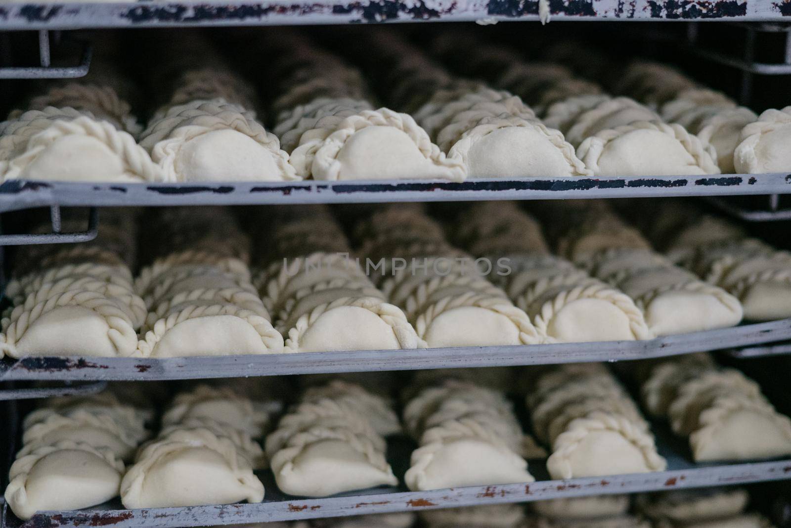 Many dumplings close-up. Dumplings isolate.Fresh dumplings on the board.
