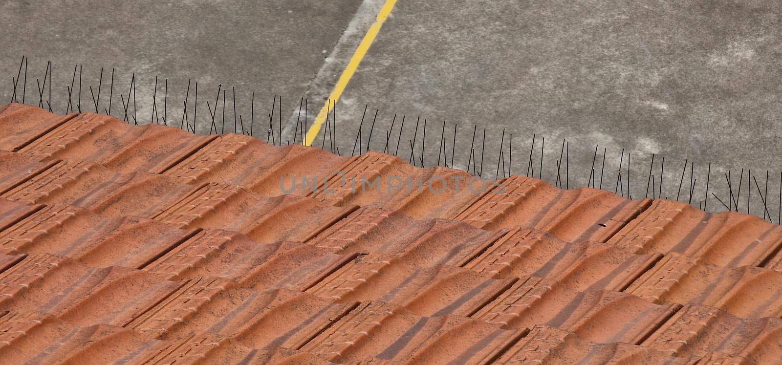 Anti-bird steel pole on the tile roof of a building to prevent birds from building the nest.