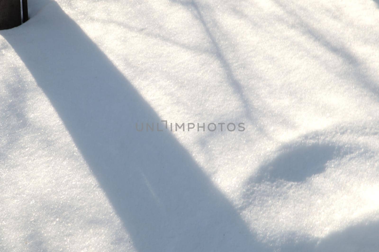 On a sunny winter day, natural shadows from trees form on the snow surface, an abstract pattern.