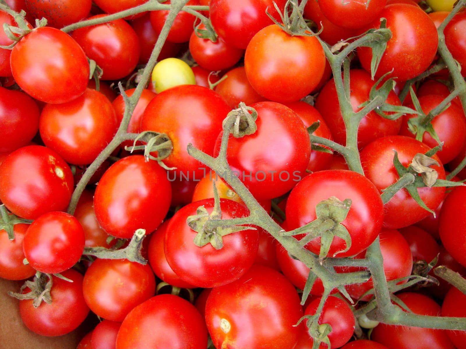 Bunch of Rosy Red Vine Tomatoes at a Farmers Market in San Francisco.